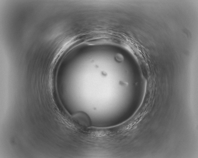 X0000116590103200912101548