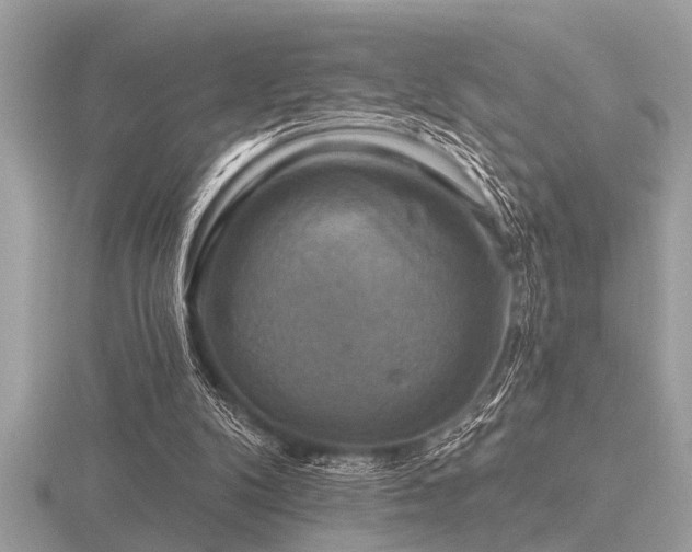 X0000116590104200912101548