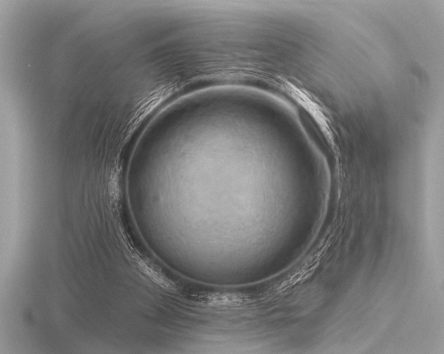 X0000116590105200912101547