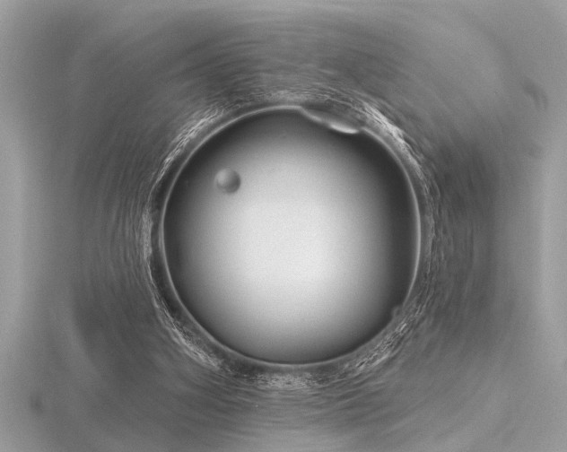 X0000116590106200912101547