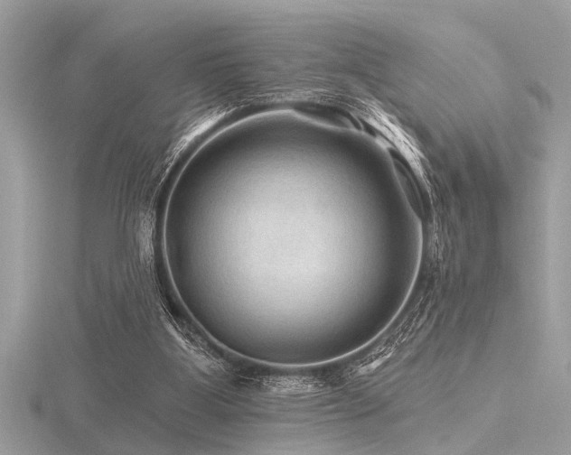 X0000116590107200912101547