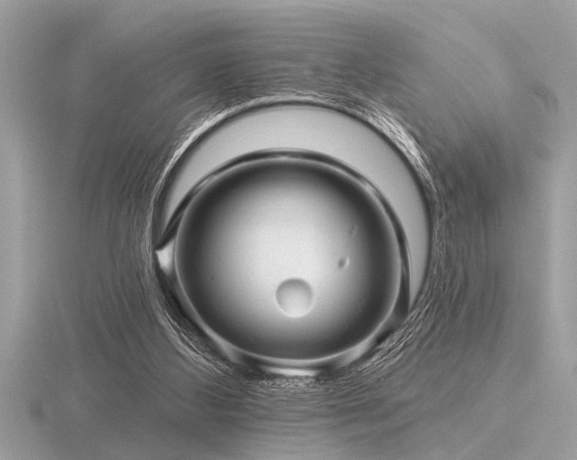 X0000116590108200912101547