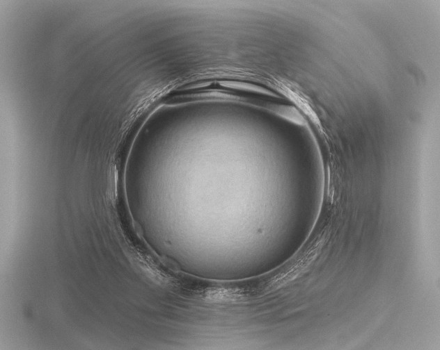 X0000116590109200912101547