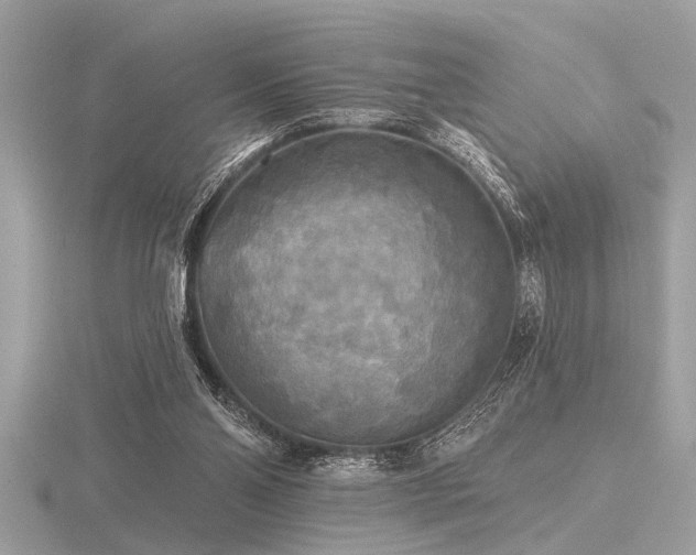 X0000116590110200912101547