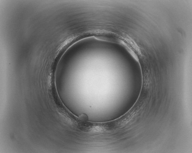 X0000116590111200912101547