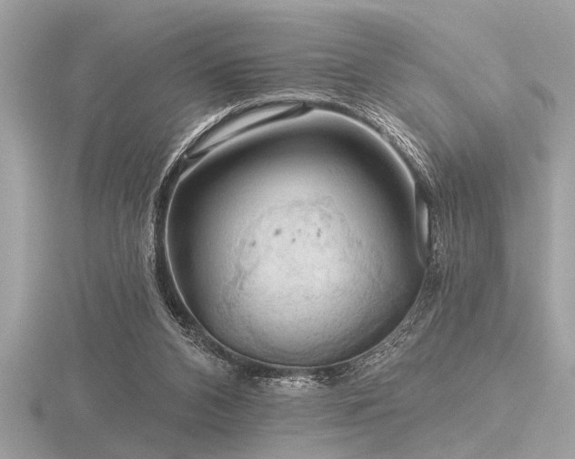 X0000116590112200912101547