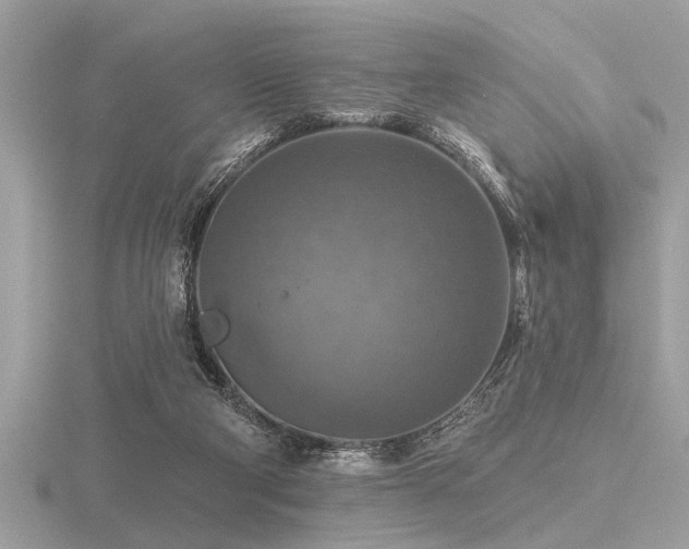 X0000116590114200912101547