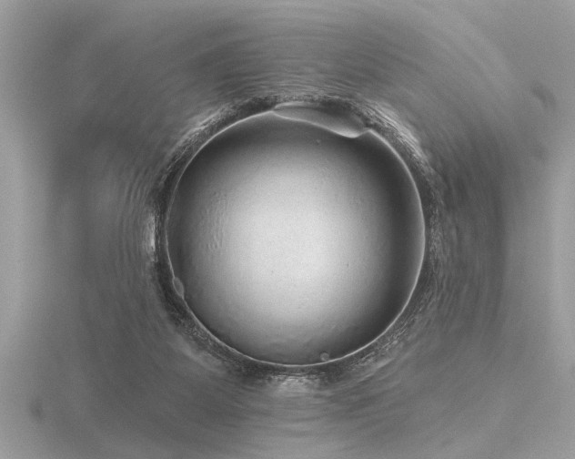 X0000116590115200912101547