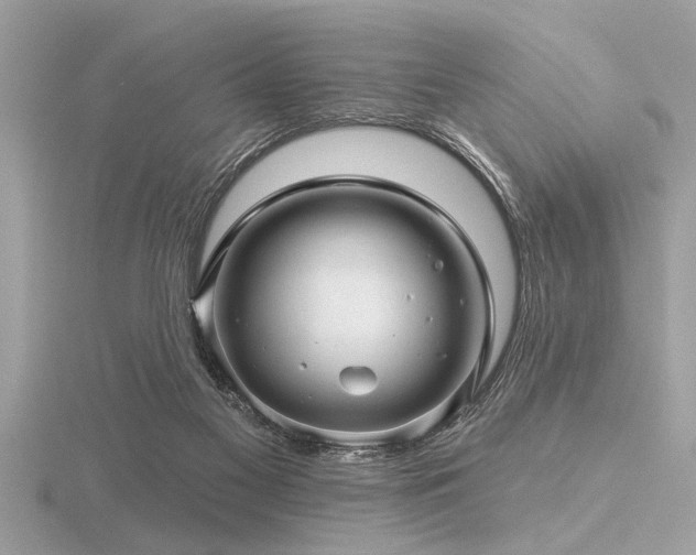 X0000116590117200912101547