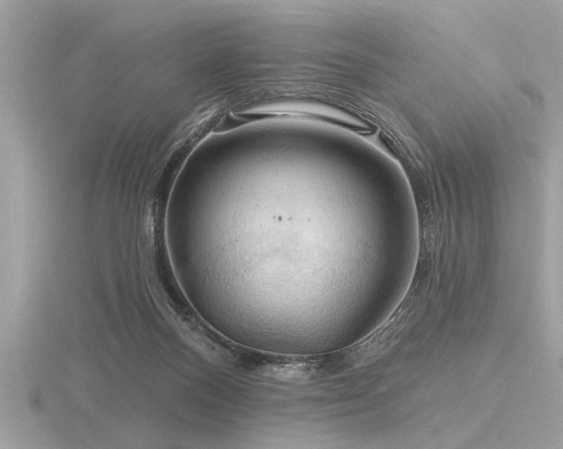 X0000116590120200912101547