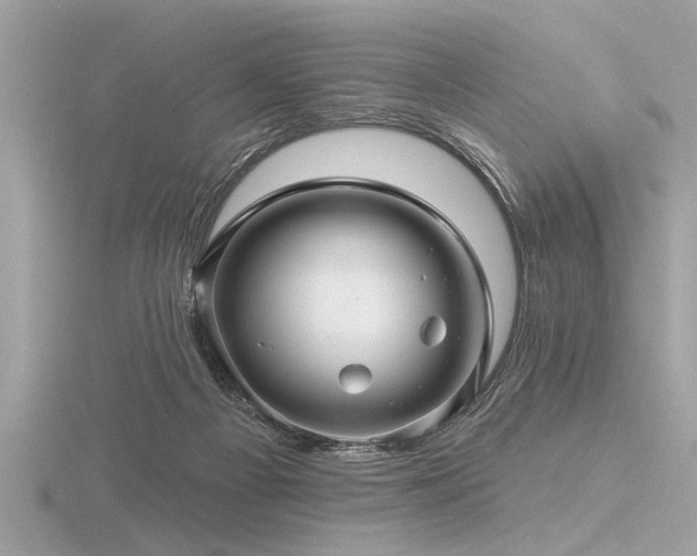 X0000116590121200912101547