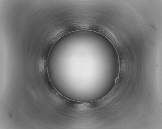 X0000116590122200912101547