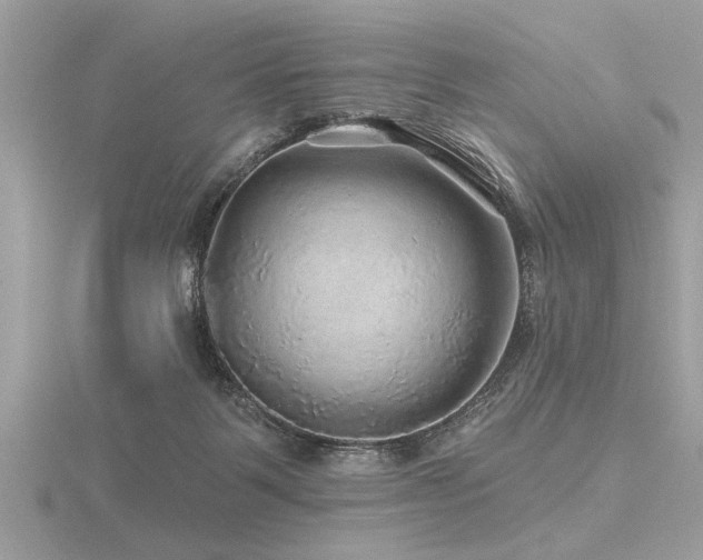 X0000116590123200912101547