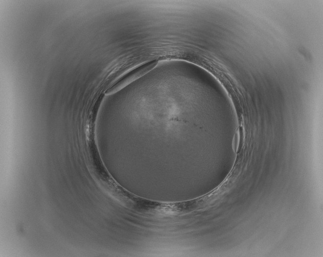 X0000116590124200912101547