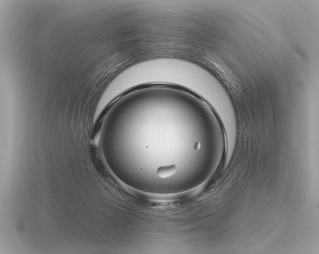 X0000116590125200912101547