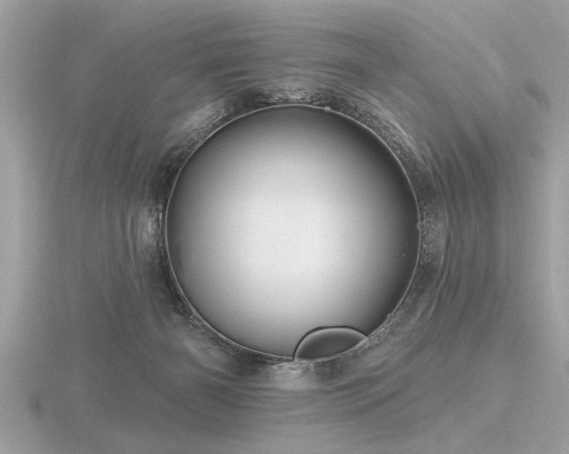 X0000116590126200912101547