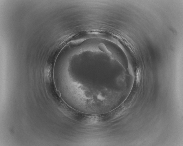 X0000116590127200912101547