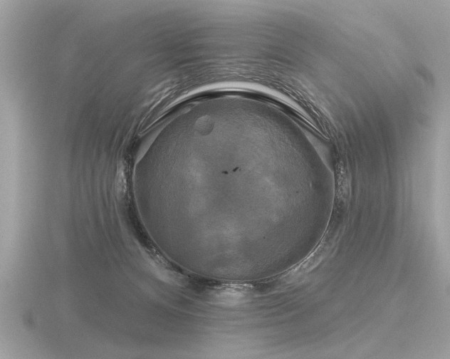 X0000116590128200912101547