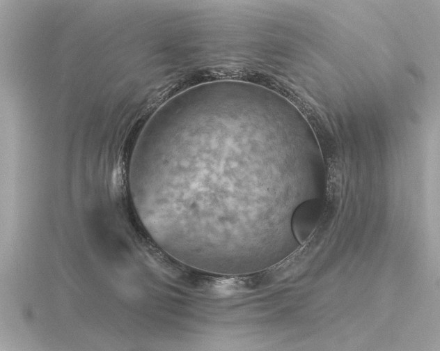 X0000116590130200912101547