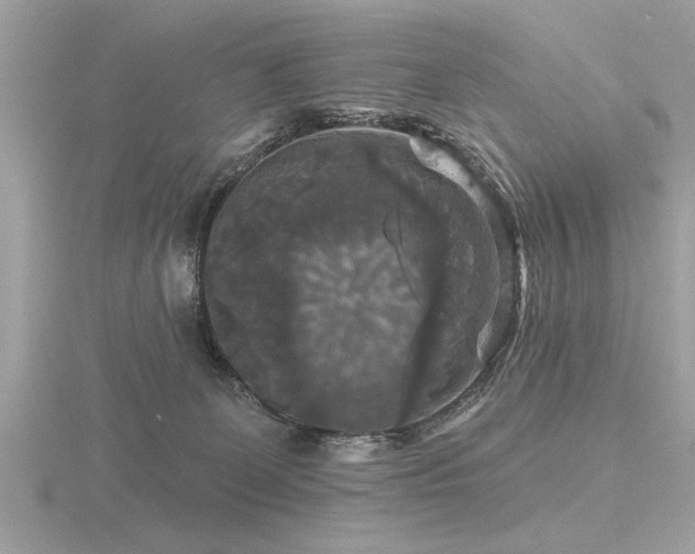 X0000116590131200912101547