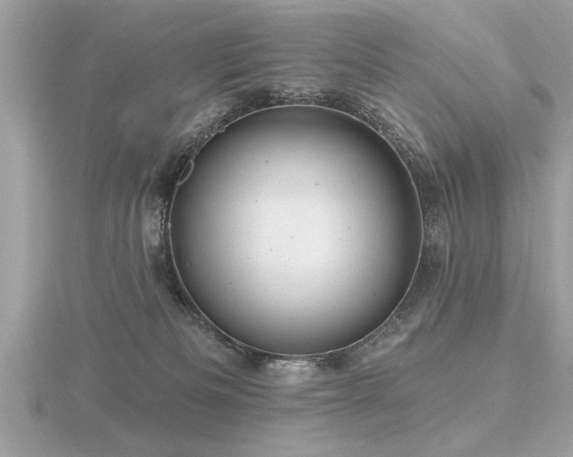 X0000116590133200912101547