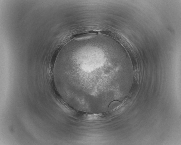 X0000116590134200912101547