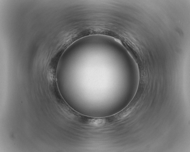 X0000116590135200912101547