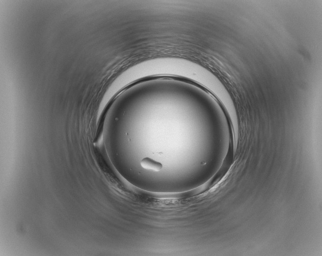 X0000116590136200912101547