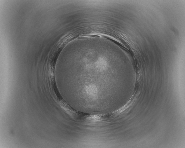 X0000116590140200912101547