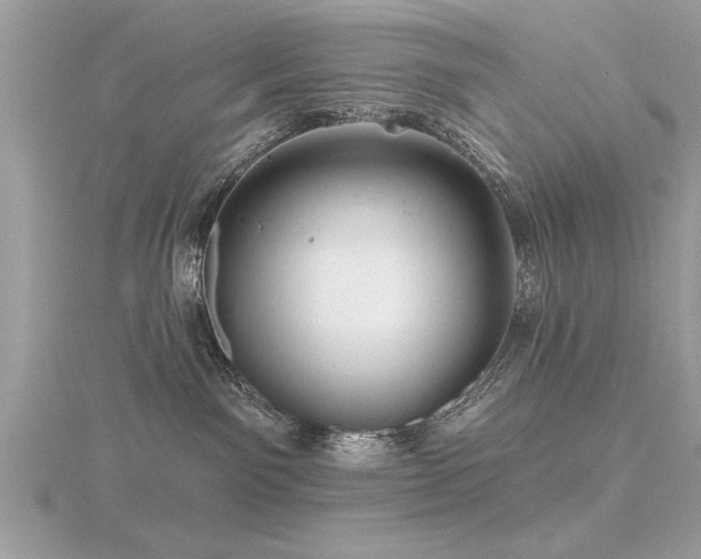 X0000116590141200912101547