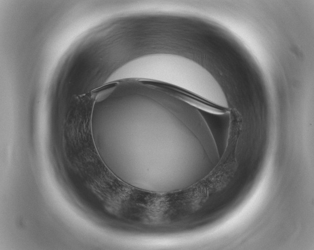 X0000116590143200912101547