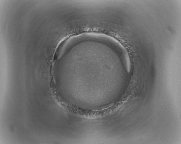 X0000116590144200912101547