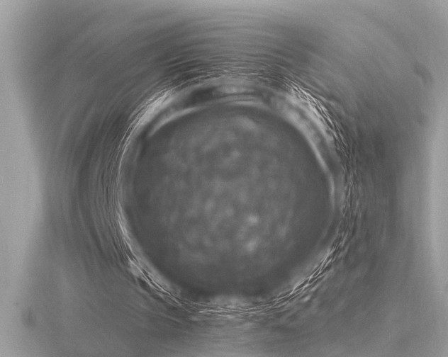 X0000116590145200912101546