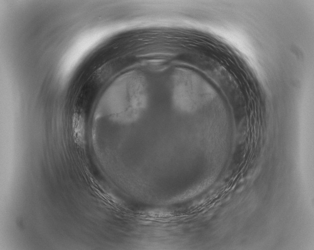 X0000116590146200912101546