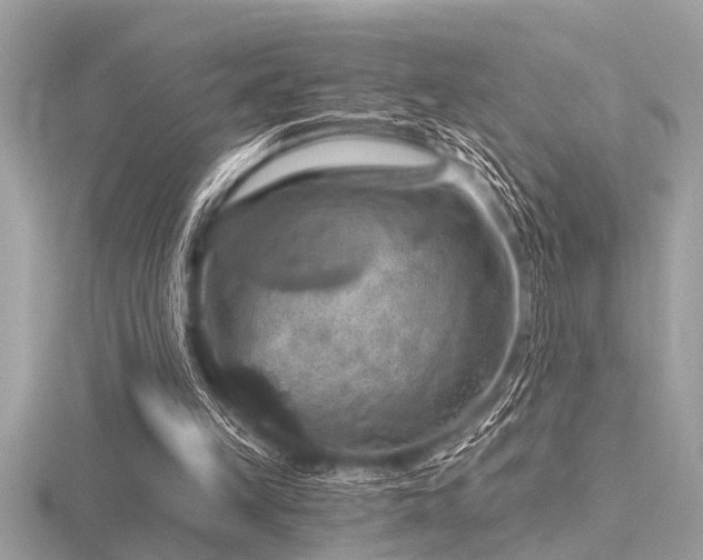 X0000116590149200912101546