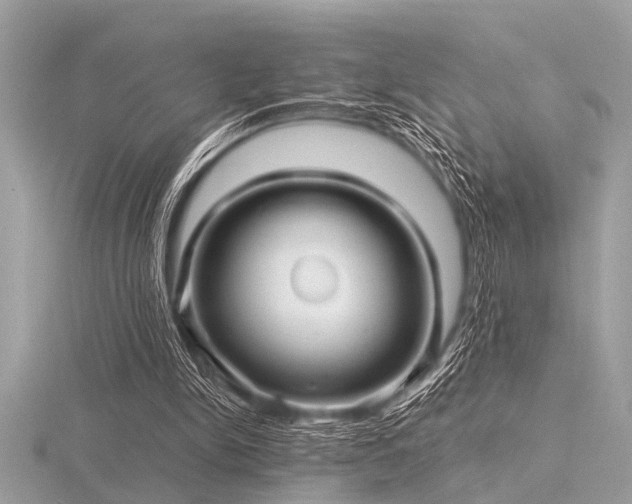 X0000116590150200912101546