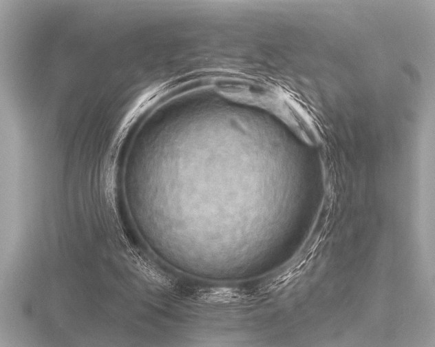 X0000116590151200912101546