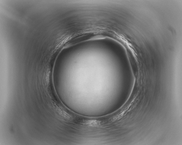 X0000116590153200912101546