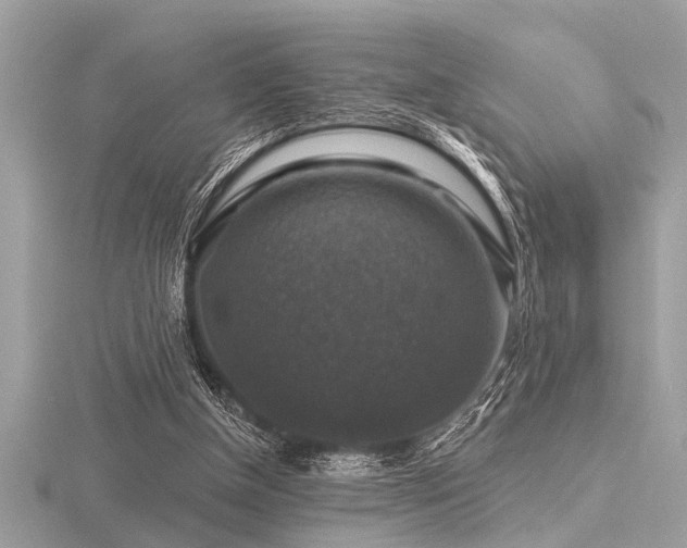 X0000116590154200912101546