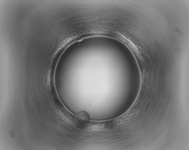 X0000116590155200912101547