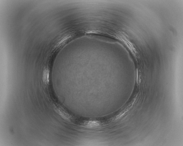 X0000116590157200912101547