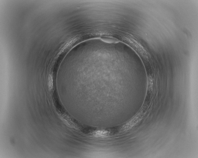 X0000116590158200912101547