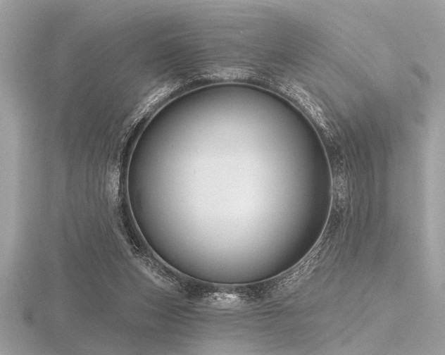 X0000116590159200912101547