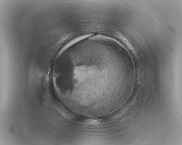 X0000116590161200912101547