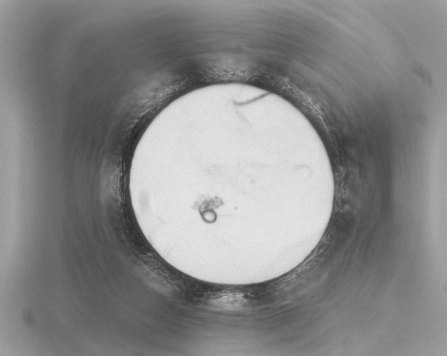 X0000116590162200912101547