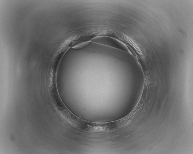 X0000116590163200912101547