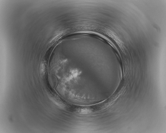 X0000116590165200912101547