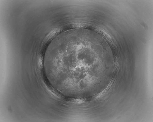 X0000116590166200912101547