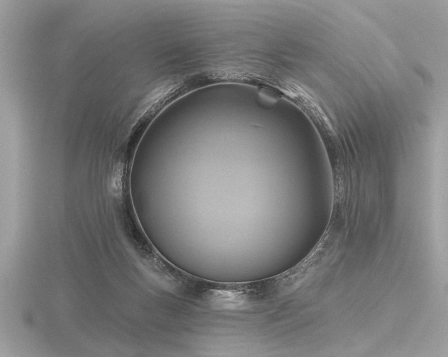 X0000116590167200912101547