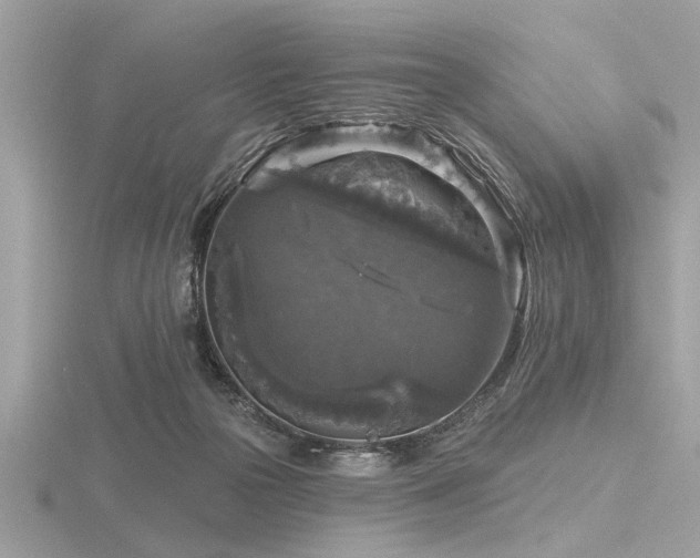 X0000116590169200912101547